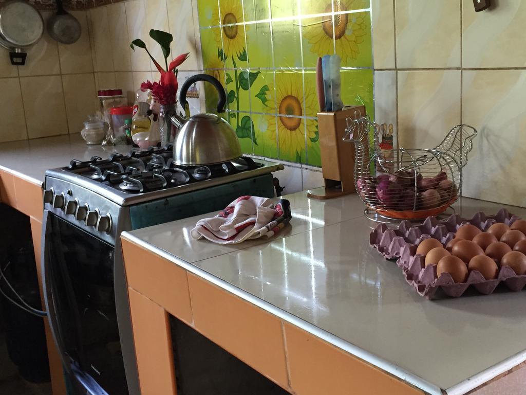 פוארטו מלדונדו Isuyama Hostel מראה חיצוני תמונה